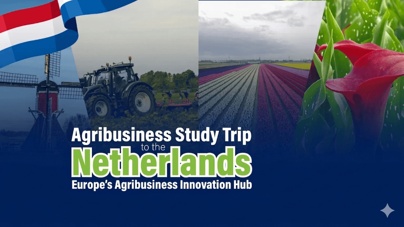 Agribusiness in the Netherlands